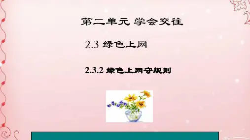绿色上网守规则ppt优秀课件