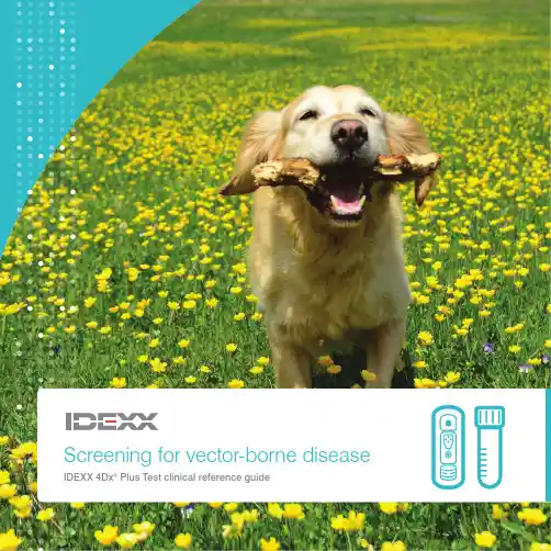IDEXX 4Dx
