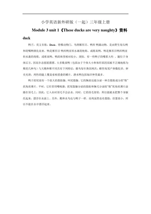小学英语新外研版(一起)三年级上册Module 3 unit 1《These ducks ar……教案