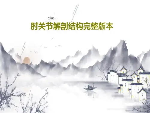 肘关节解剖结构完整版本共40页PPT