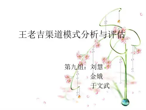 王老吉渠道模式分析与评估