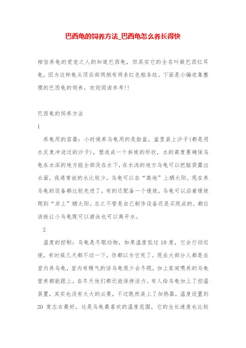 巴西龟的饲养方法_巴西龟怎么养长得快