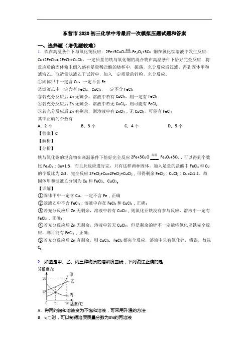 东营市2020初三化学中考最后一次模拟压题试题和答案