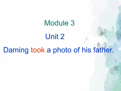 外研版(三起)-英语-五年级上册-M3U2 Daming took a photo of his father-名师外研版