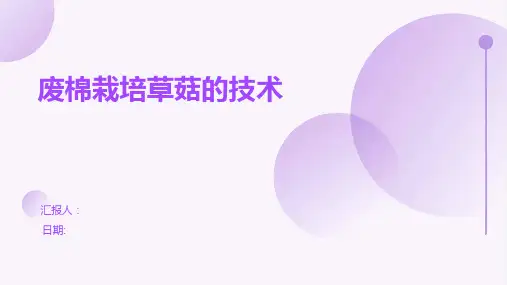 废棉栽培草菇的技术