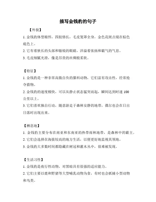 描写金钱豹的句子