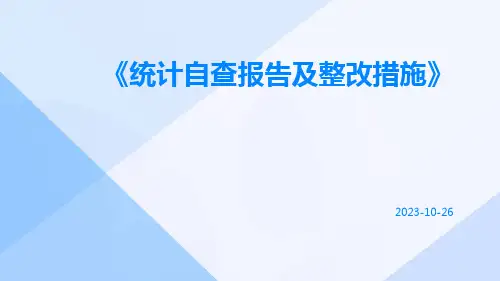 统计自查报告及整改措施