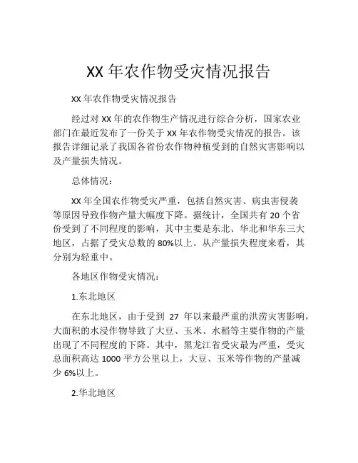 XX年农作物受灾情况报告