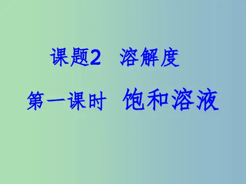 九年级化学下册《9.2 溶解度》课件 (新版)新人教版