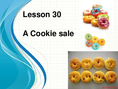 最新冀教版八年级英语下册优质课件Lesson 30
