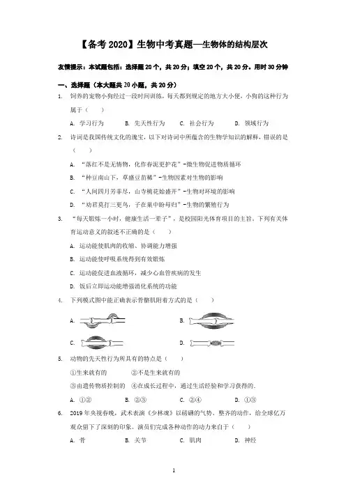 【备考2020】生物中考真题05—动物的运动和行为(含答案)