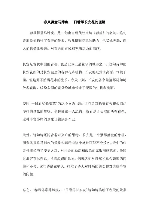 春风得意马蹄疾 一日看尽长安花的理解