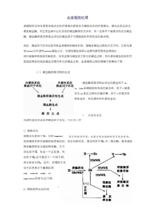 血液凝固机理
