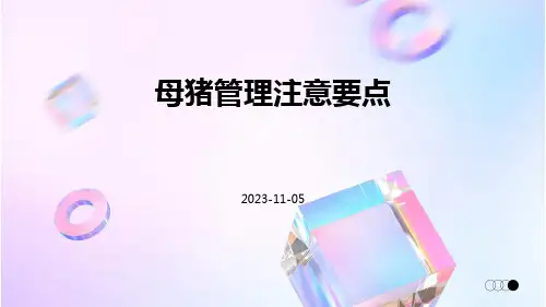 母猪管理注意要点