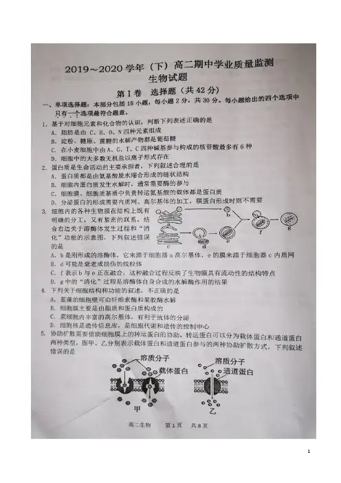 2019-2020学年江苏省南通市通州区高二下学期期中学业质量监测生物试题  PDF版