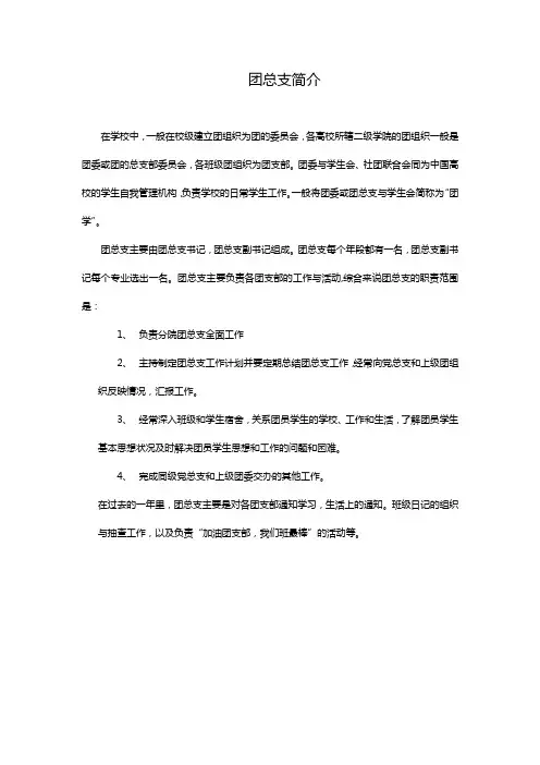 团总支简介