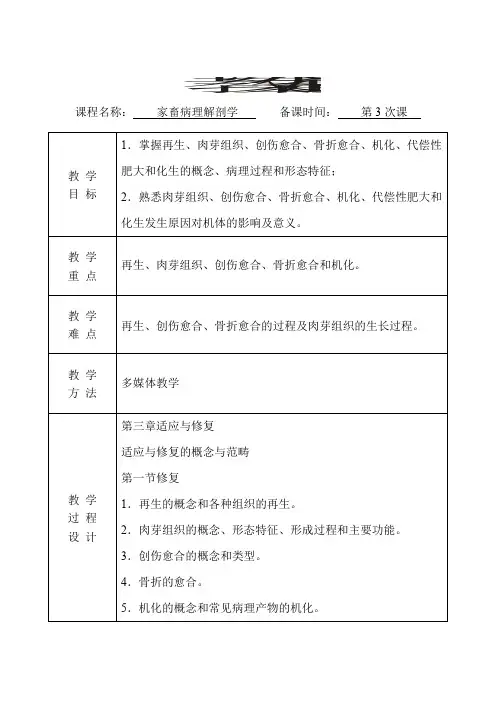 家畜病理解剖学  教案(第3次课)