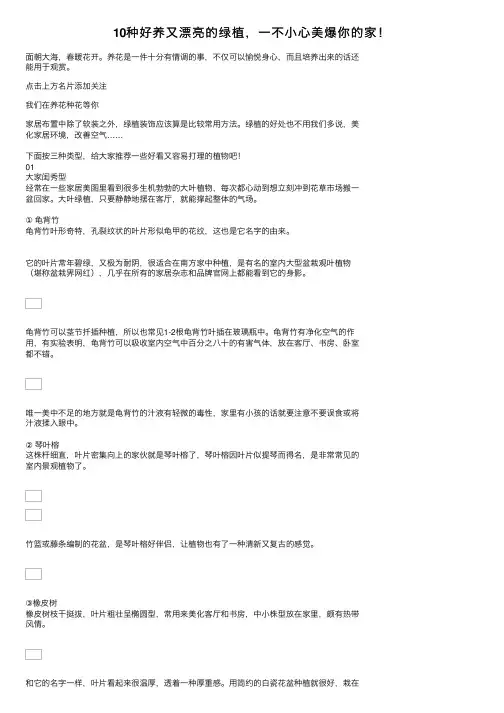 10种好养又漂亮的绿植，一不小心美爆你的家！