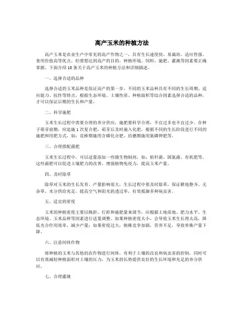 高产玉米的种植方法