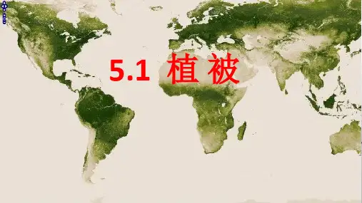 人教版新课标(2019)高中地理必修一 5.1植被 课件(共25张ppt)