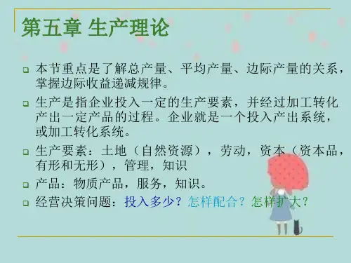 管理经济学第五章生产理论(2024版)