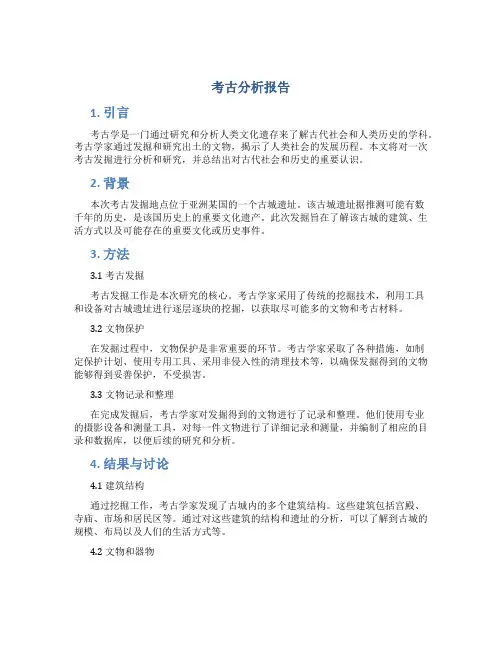 考古分析报告