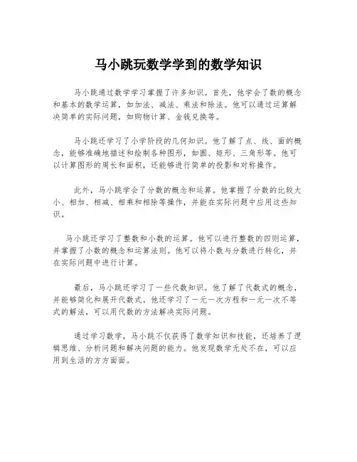 马小跳玩数学学到的数学知识
