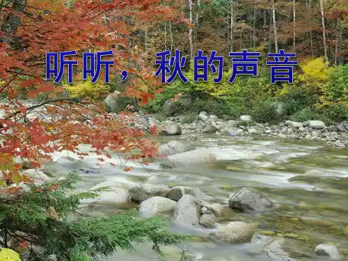 听听秋的声音小学语文ppt课件(1)