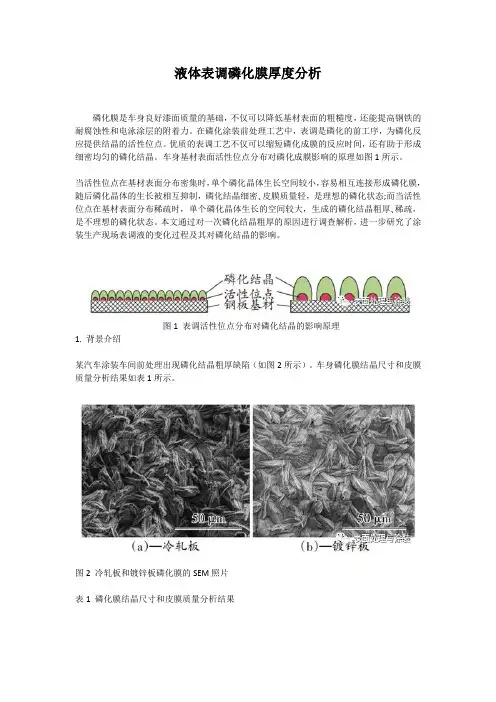 液体表调磷化膜分析