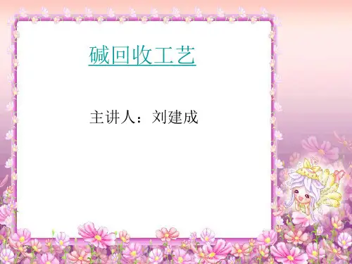 碱回收工艺讲解