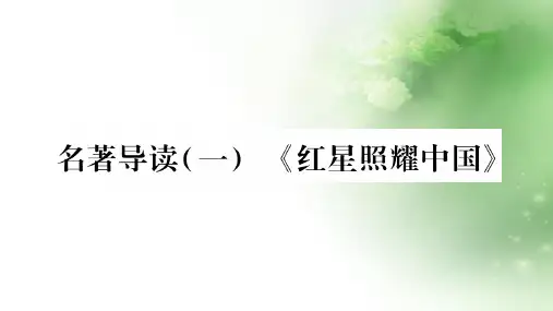 人教部编版八年级语文上册作业课件：第三单元名著导读(一)(共31张PPT)(优质版推荐)