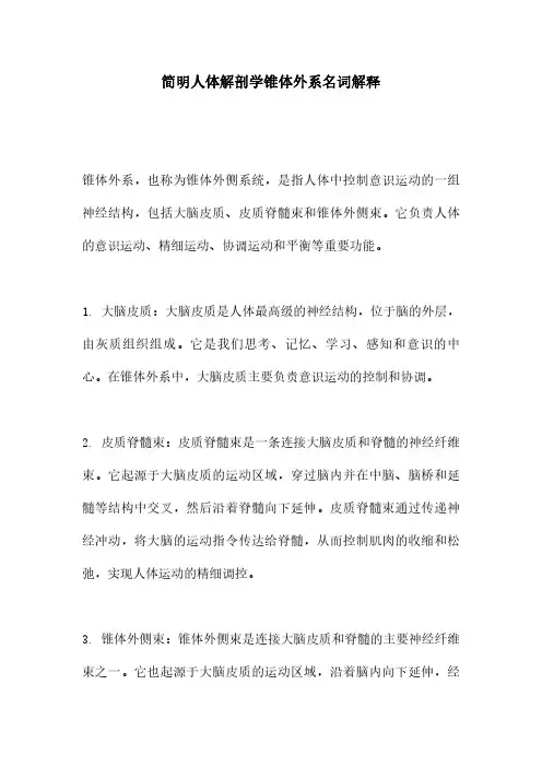 简明人体解剖学锥体外系名词解释