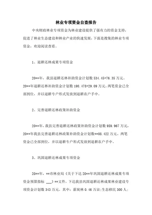 2021年林业专项资金自查报告