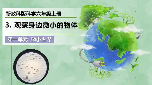 新教科版科学六年级上册《观察身边微小的物体》优质课件