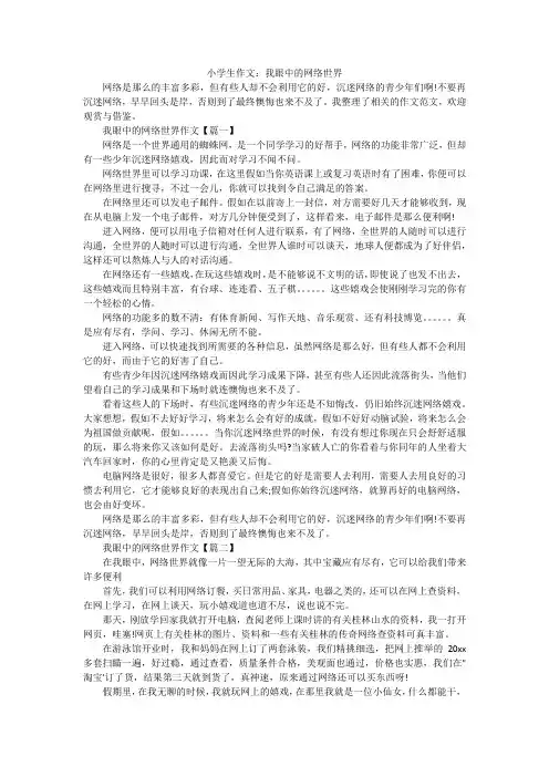小学生作文：我眼中的网络世界
