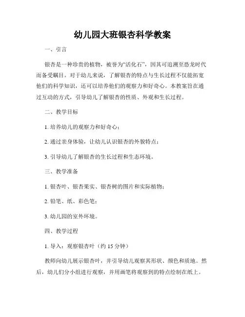 幼儿园大班银杏科学教案