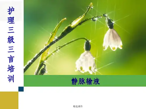 护理三基三严培训静脉输液ppt课件