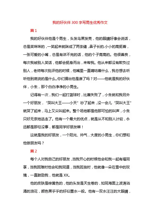 我的好伙伴300字写男生优秀作文