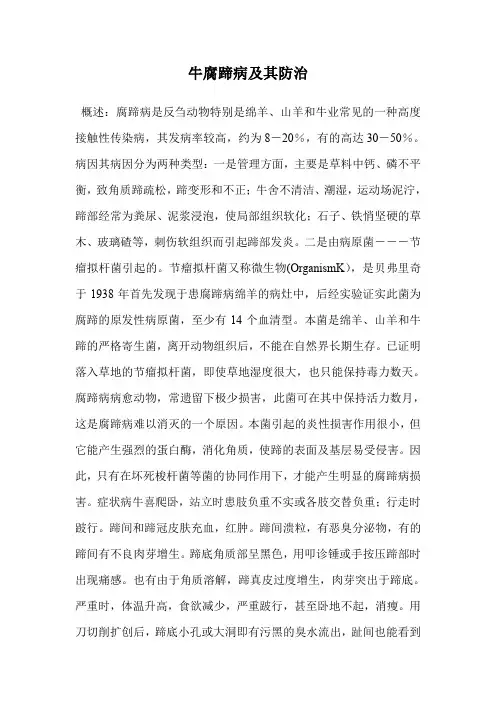 牛腐蹄病及其防治.doc