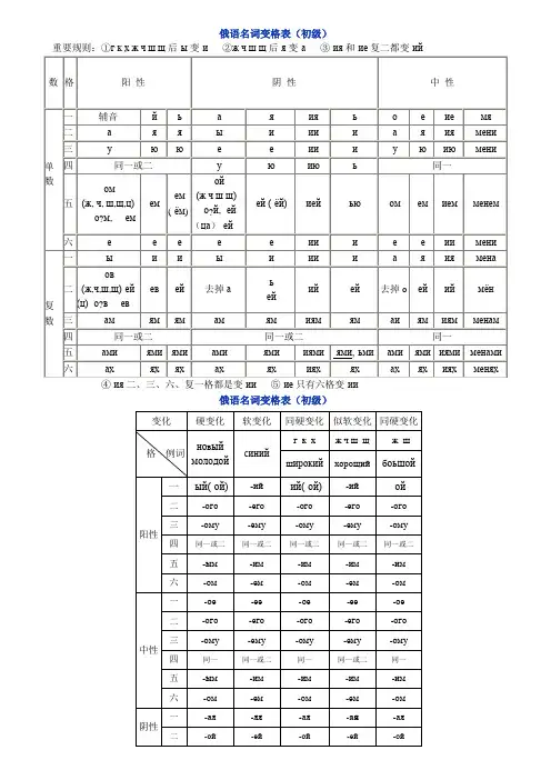俄语名词 形容词 代词变格表