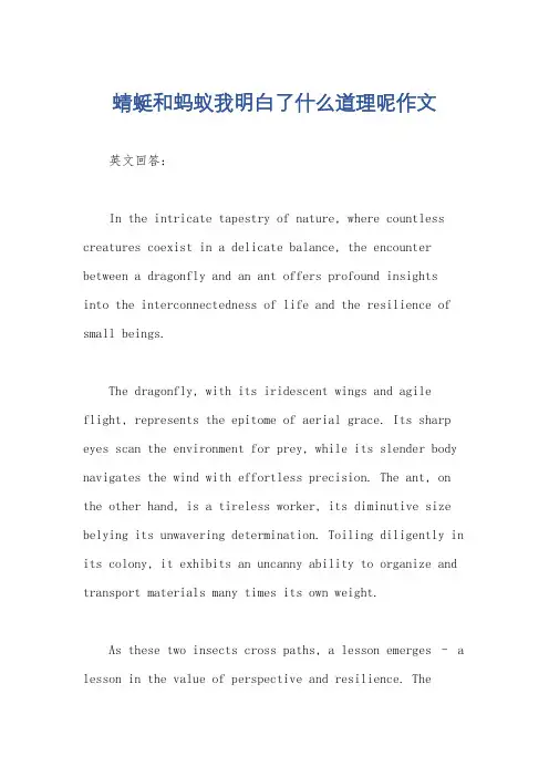 蜻蜓和蚂蚁我明白了什么道理呢作文