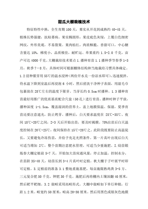 甜瓜大棚栽植技术