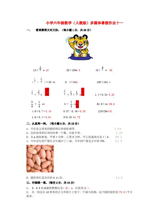 六年级数学 暑假作业十一 人教版