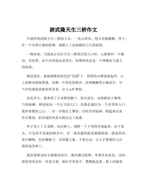 游武隆天生三桥作文