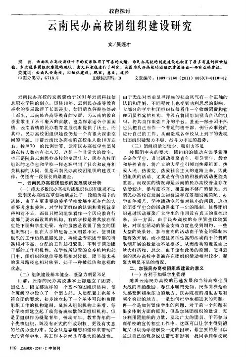 云南民办高校团组织建设研究