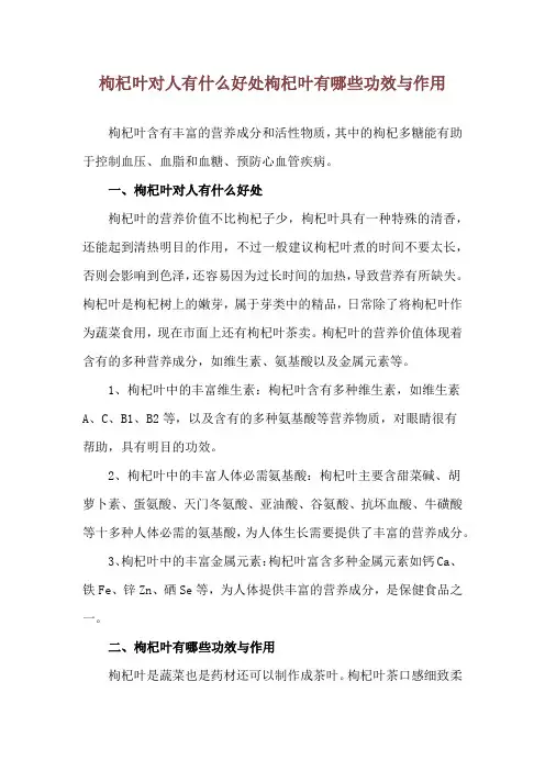 枸杞叶对人有什么好处 枸杞叶有哪些功效与作用