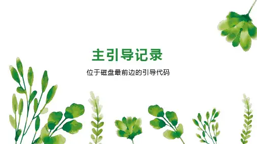 主引导记录 