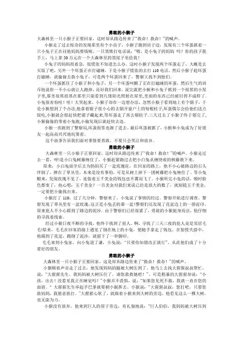 勇敢的小猴子