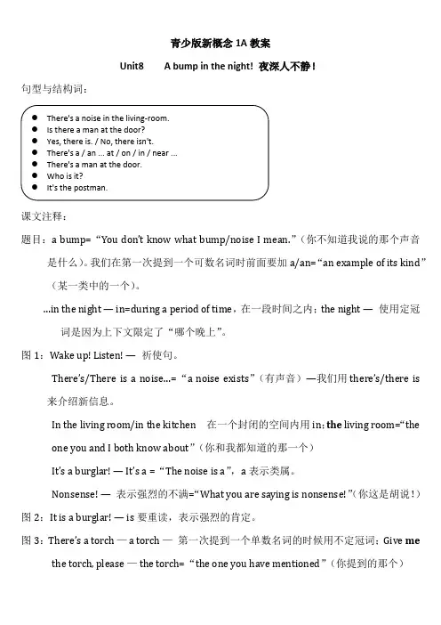 新概念英语青少版 1A Unit 8 教案