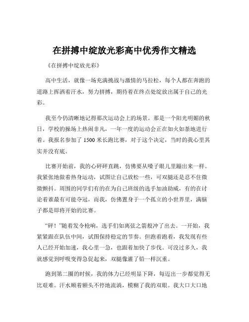 在拼搏中绽放光彩高中优秀作文精选